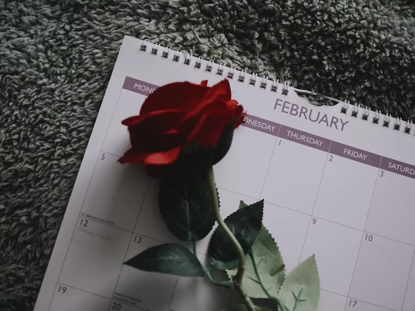 red rose on calendar