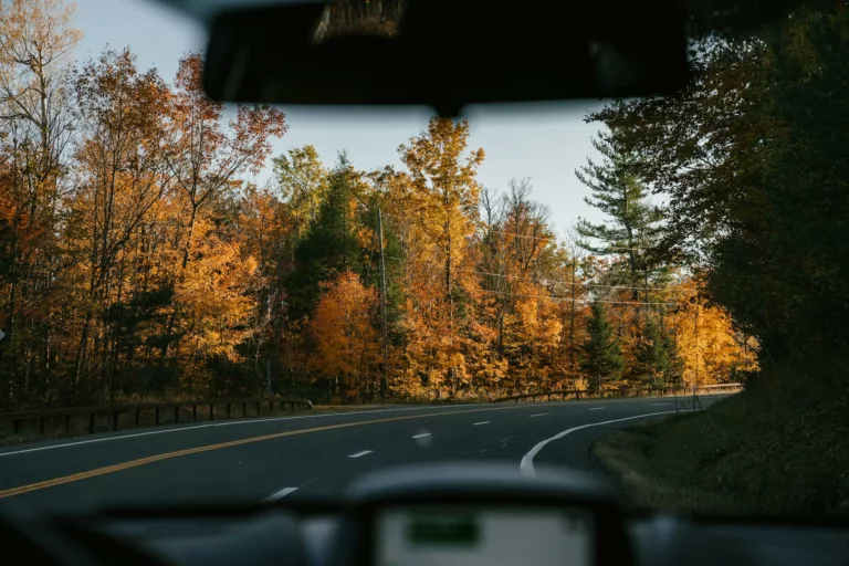 automobile driving through autumn forest during road trip