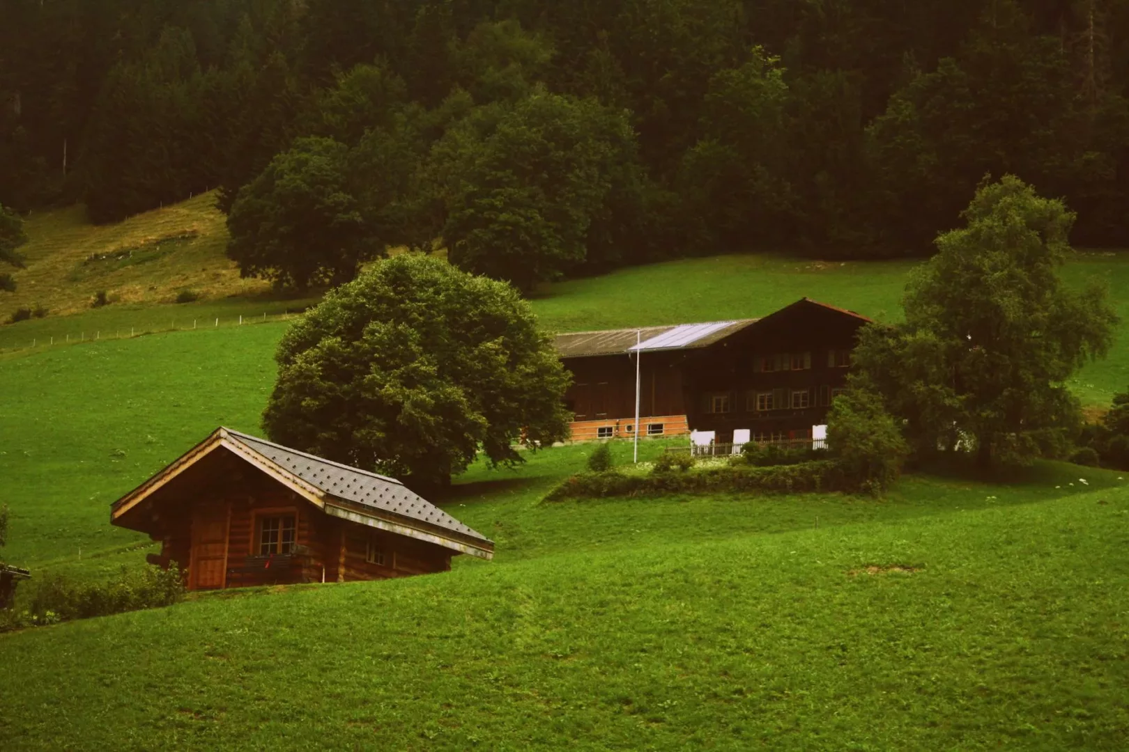 two brown wooden cabins in green grass field