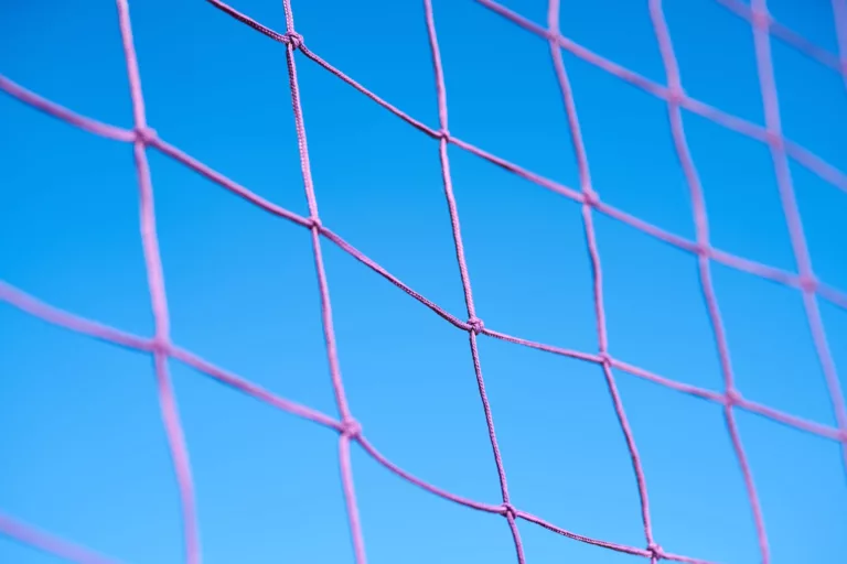 purple volleyball net