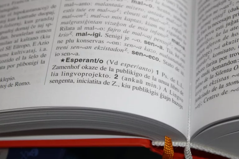 page of a dictionary in close up photography