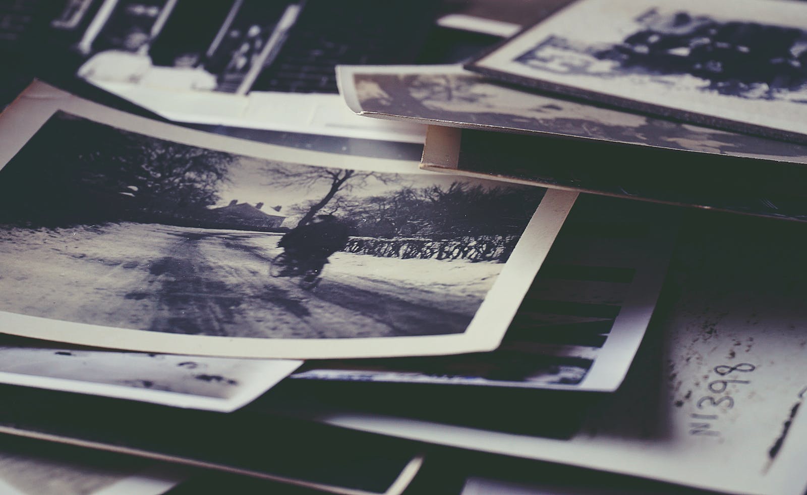 A nostalgic collection of vintage black and white photographs depicting memories and history.