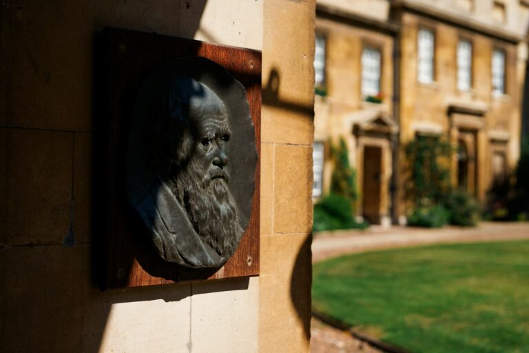 Historic bas-relief of charles darwin on a sunlit wall